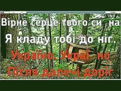 Україна, Петриненко караоке с аккордами