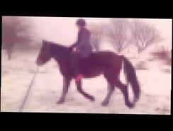 Урок верховой езды без седла =) ♞ Катание на лошади