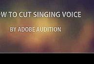 Make Karaoke cut singing voice by Adobe Audition